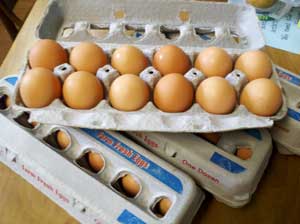home grown eggs