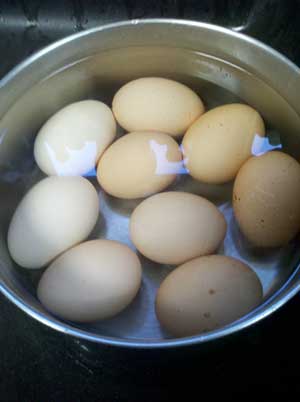 hoem raised eggs