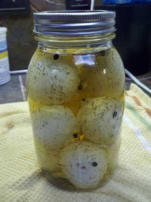 peeled eggs