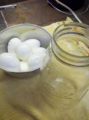 peeled eggs