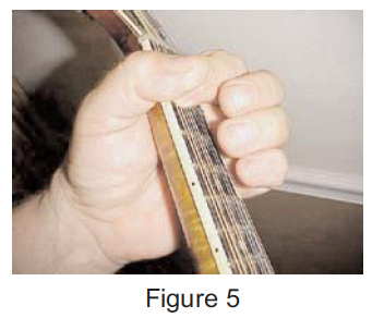 forming a barre chord on the mandolin jpg