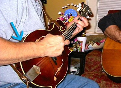 brad laird mandolin