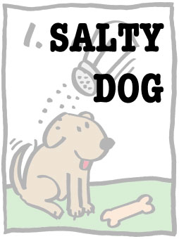 salty dog