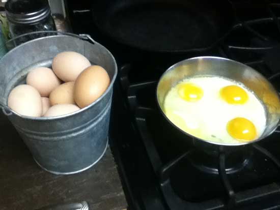 home eggs