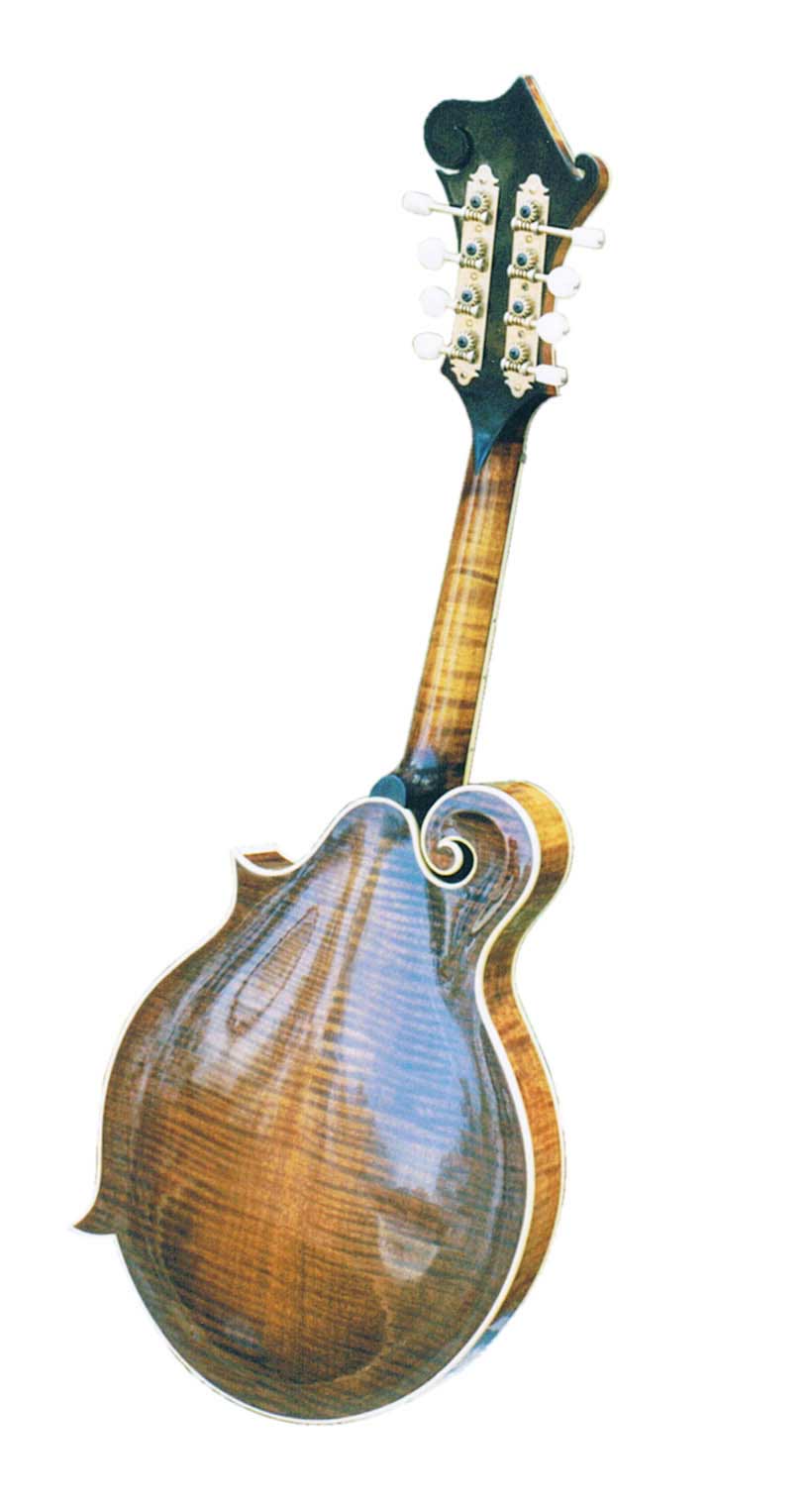 back of flatiron mandolin