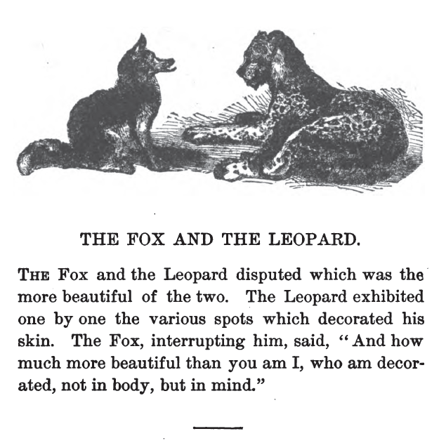 fox and leopard