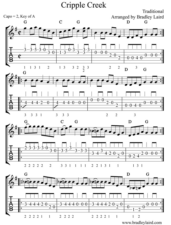 Flatpicking shop bluegrass guitar