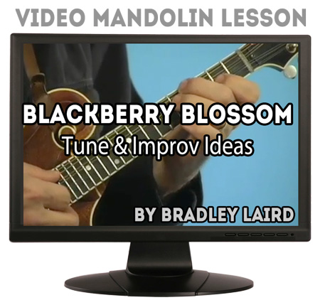 blackberry blossom mandolin video lesson