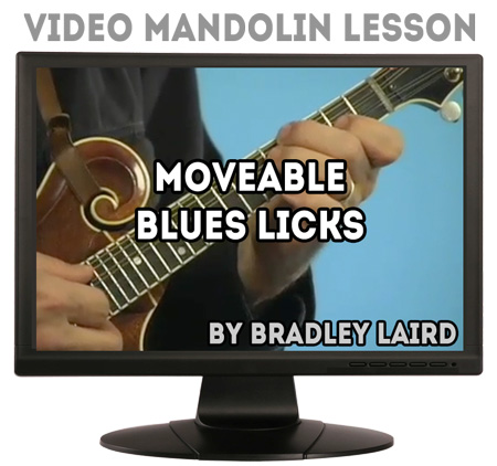 moveable mandolin blues licks