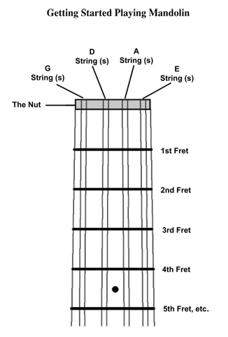 mandolin strings