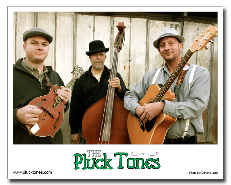 The Pluck Tones